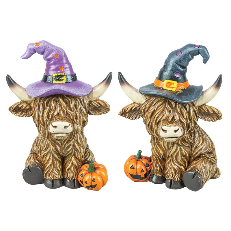 WIZARD HIGHLAND COW SET