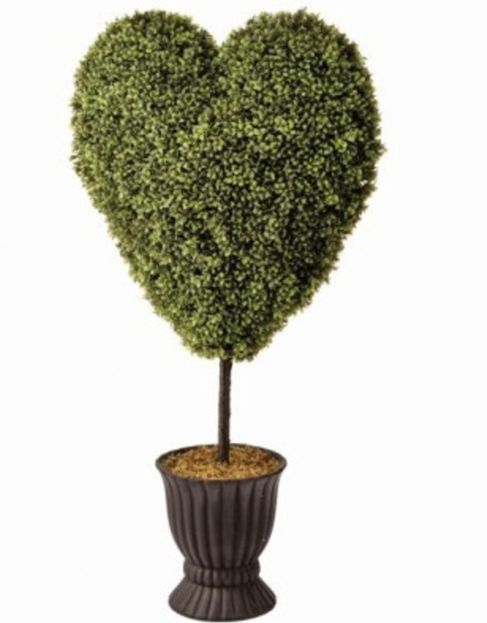 41' UV BOXWOOD HEART IN POT